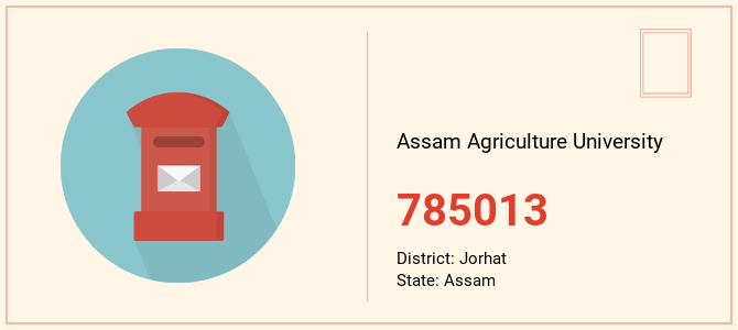 pin code of Assam Agriculture University in Assam
